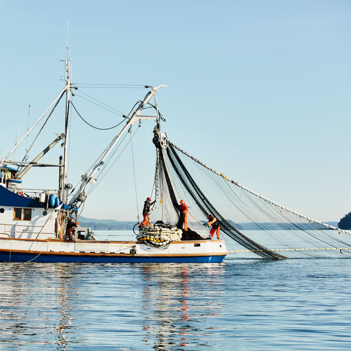 Ecologistas en Acción pide que el salmón y la anguila sean especies en peligro de extinción en Cantabria