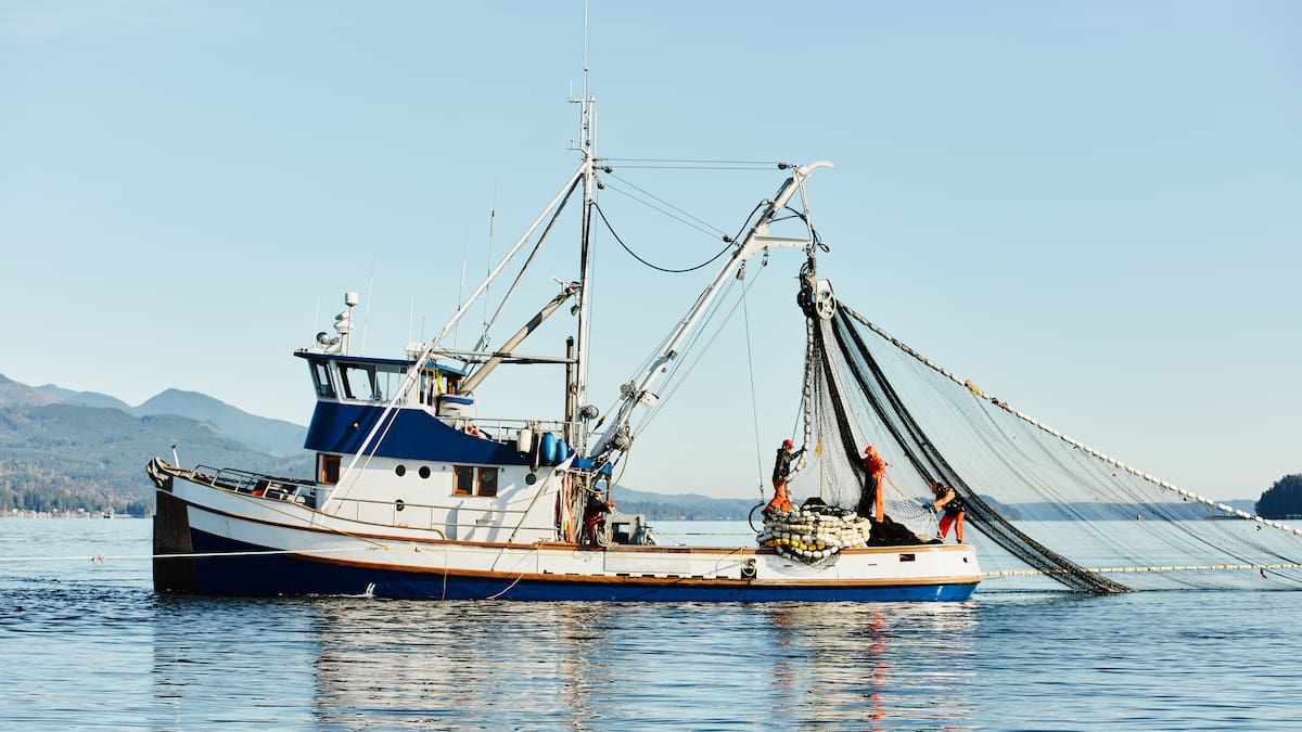 Pescadores en pie de guerra: "No somos oficinistas"