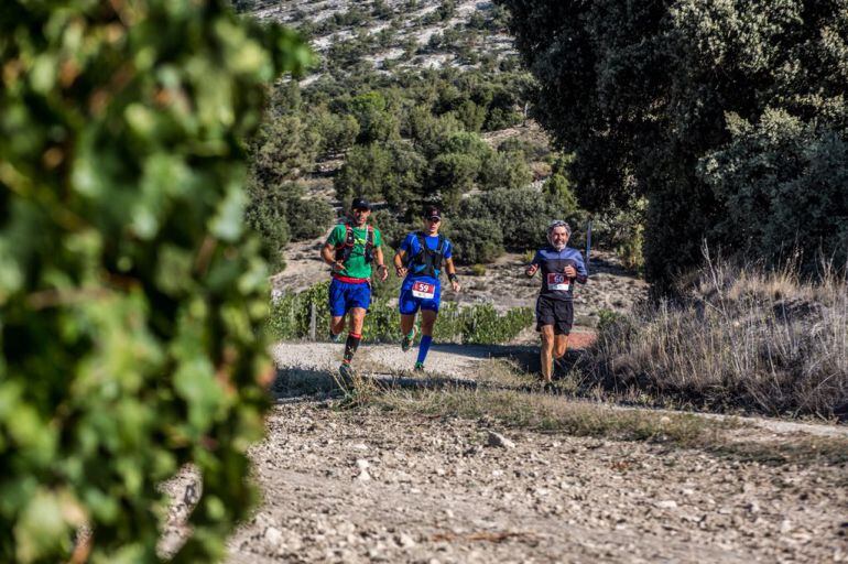 Algunos de los corredores de la pasada edición de la Ribera Run Race.