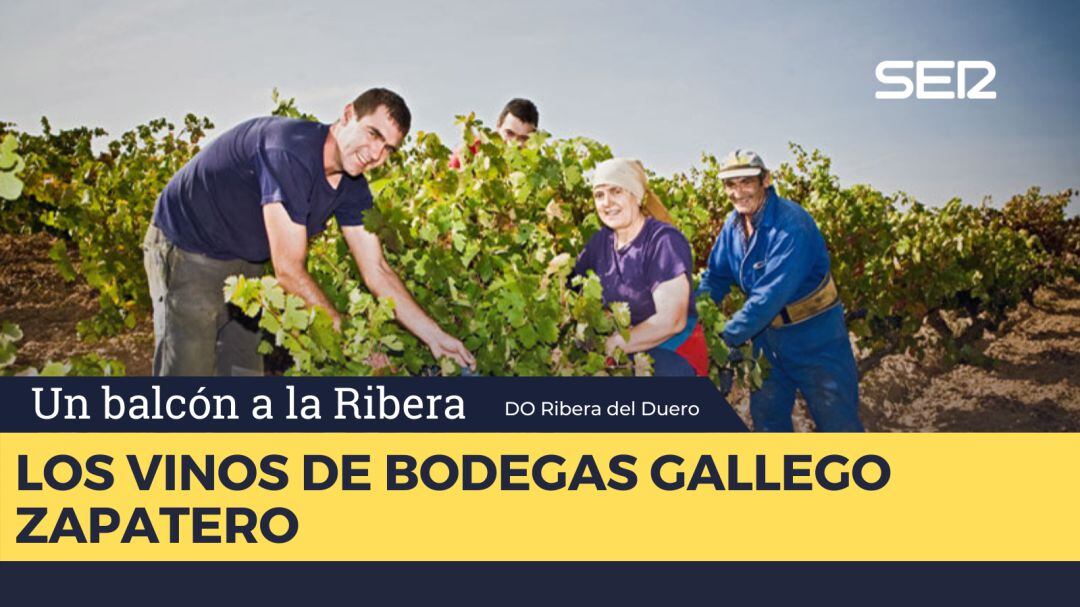 Bodegas Gallego Zapatero