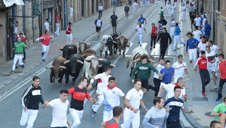 Los toros guiados por los cabestros enfilan la curva de la farola