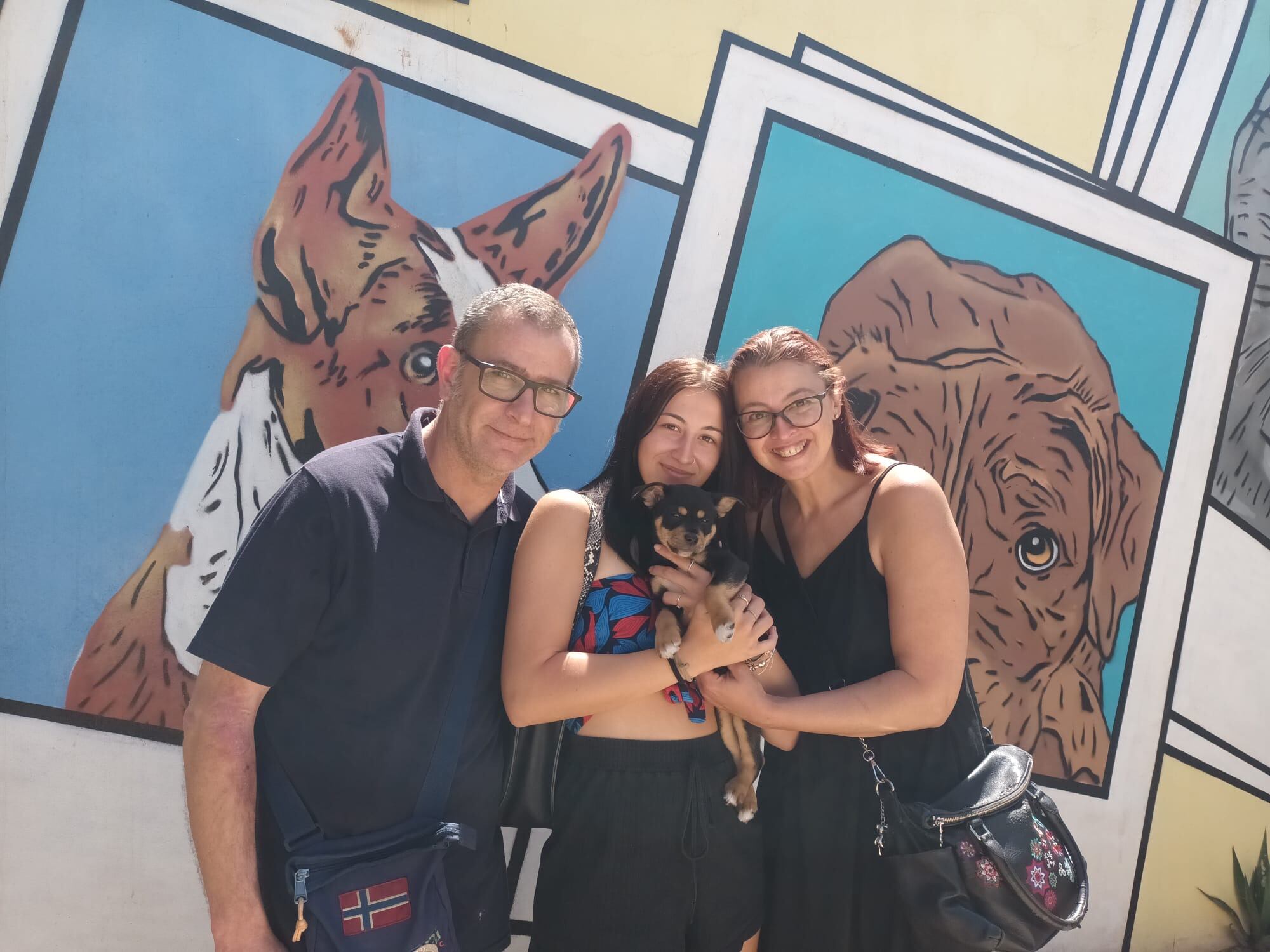 Uno de los perros adoptado por una familia