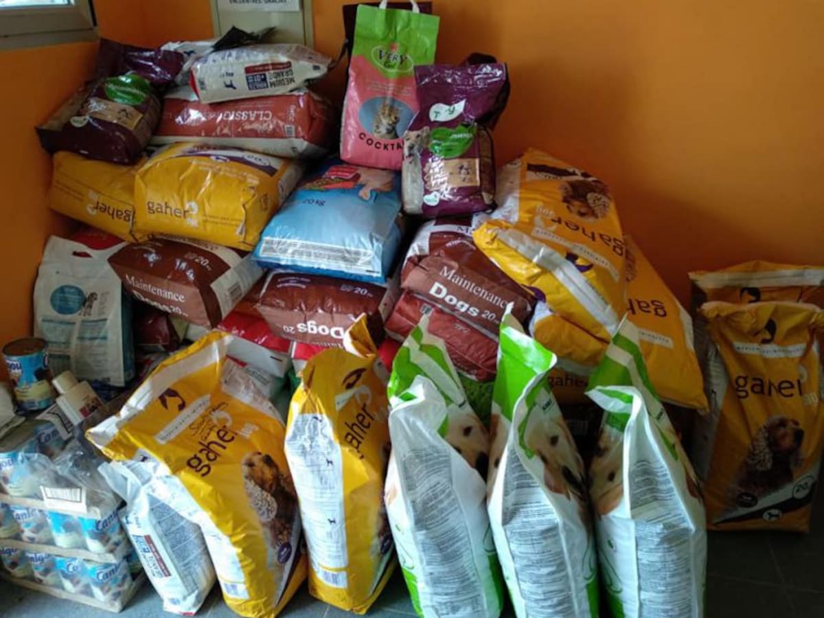 La Protectora de Palencia consigue 1.334 kilos de pienso para perros en tiempo récord