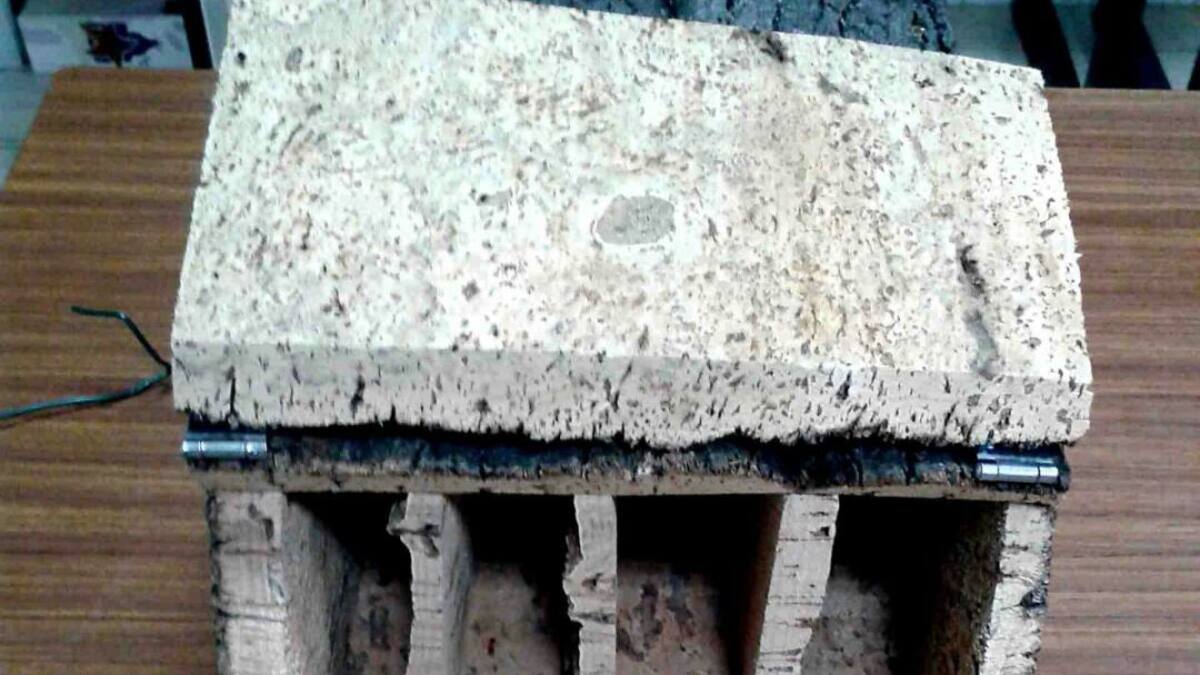 Preparan refugios para murciélagos en varias zonas