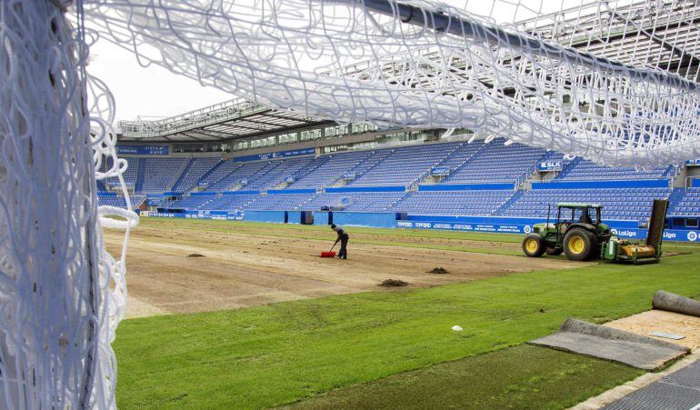 Así está el césped de Mendizorroza, que se ha empezado a sembrar para la próxima temporada.