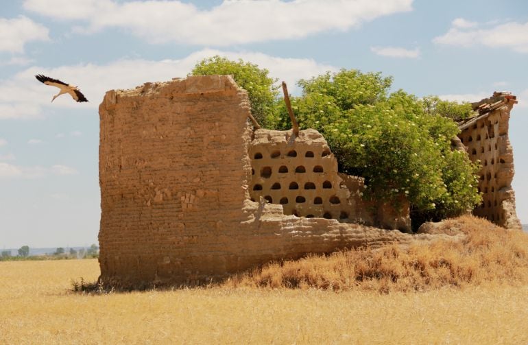 Palomar en Mazariegos