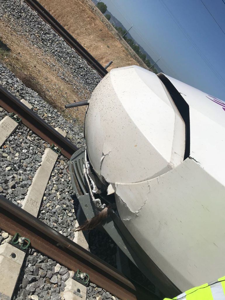 La cabeza tractora del convoy. Se aprecia el rabo del animal incrustado tras el choque.