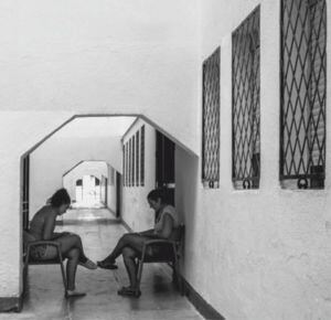 La exposición en torno a la vivienda social ha sido organizada por la Conselleria de Vivienda, Obras Públicas y Vertebración del Territorio, a través del Instituto Valenciano de la Edificación