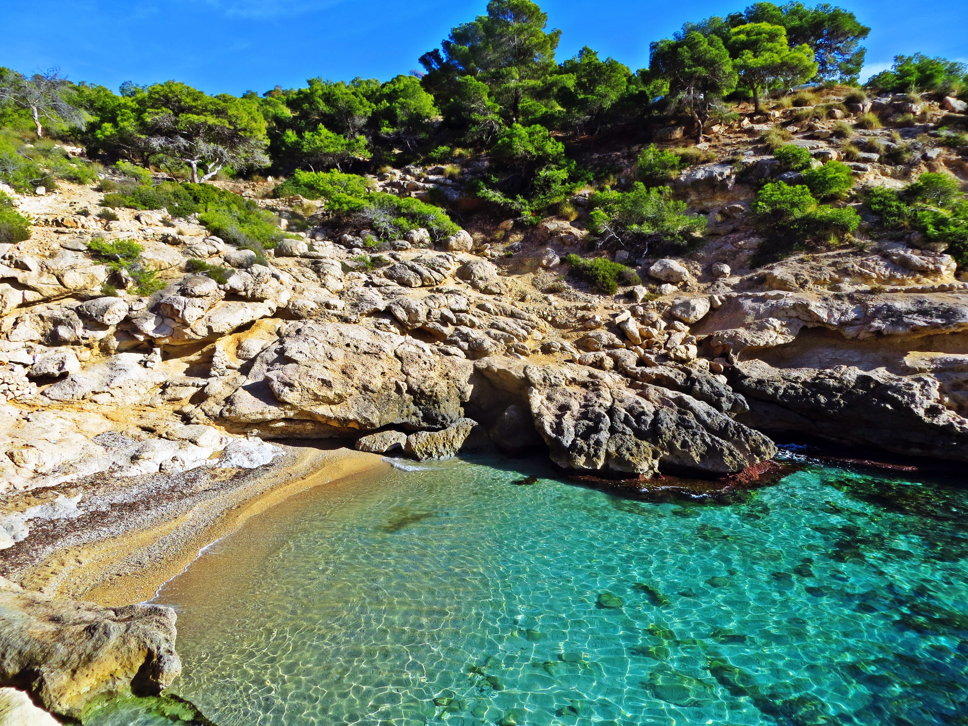 Cala Racó del Conill ((La Vila Joiosa)