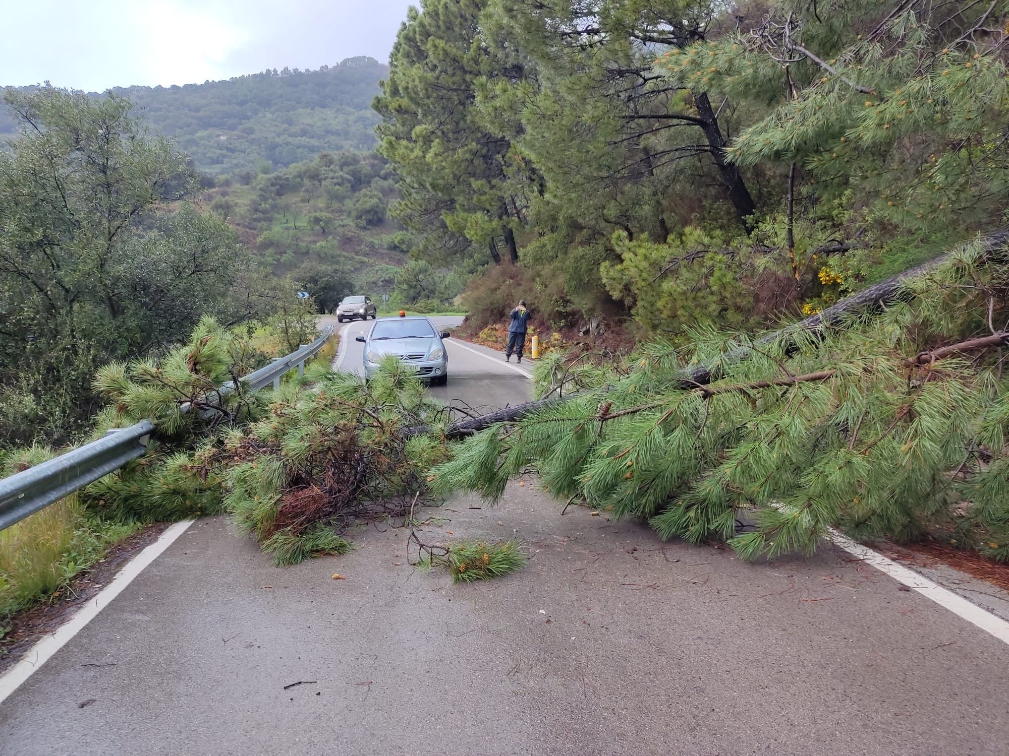 Incidentes en las carreteras de la provincia de Málaga por las fuertes lluvias