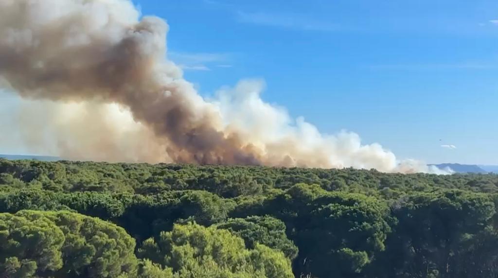 Declarado el segundo incendio forestal en el parque de la Albufera de València en menos de 24 horas