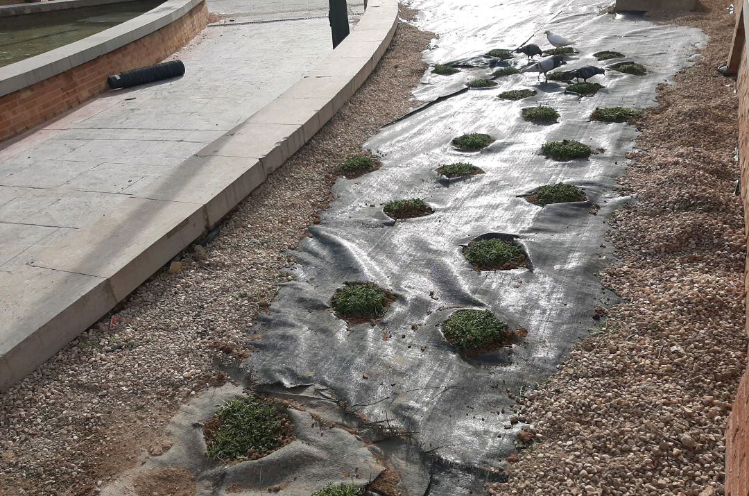 Plantas en el museo de Historia de la Ciudad 