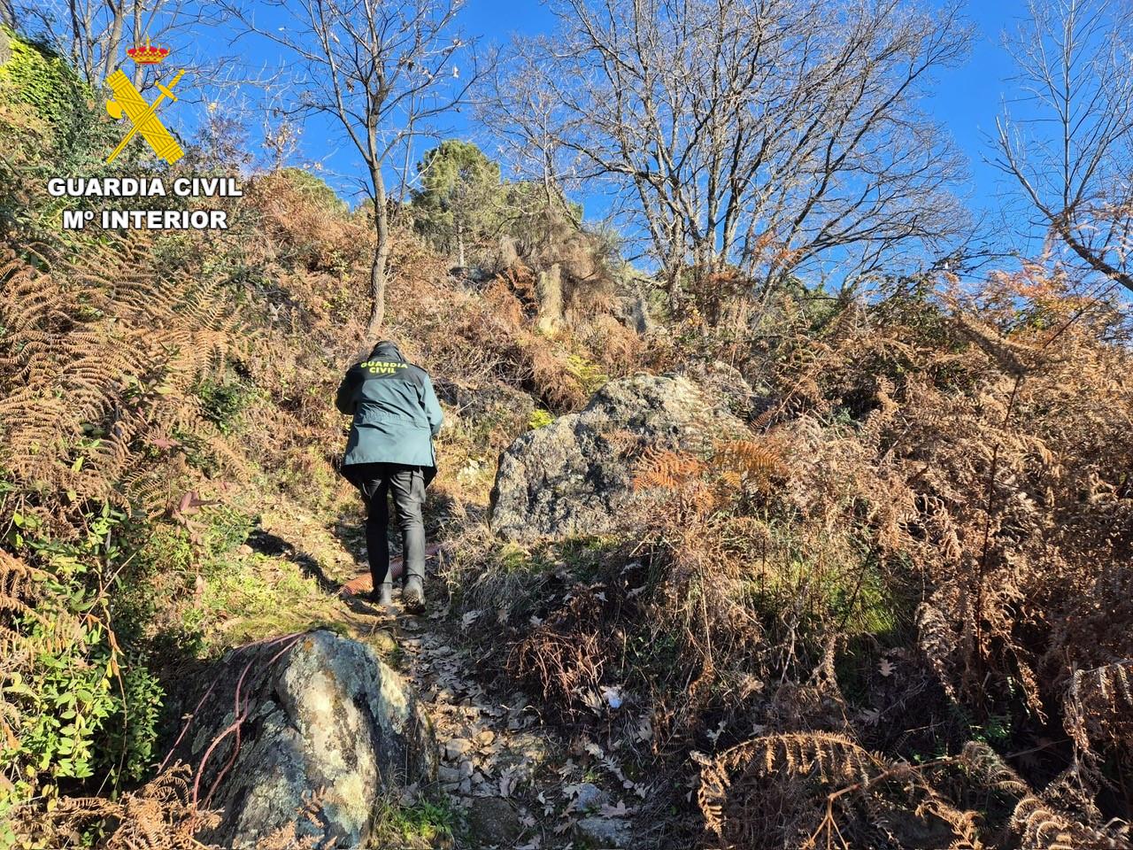 La Guardia Civil encuentra un cadáver calcinado en Poyales del Hoyo (Ávila)