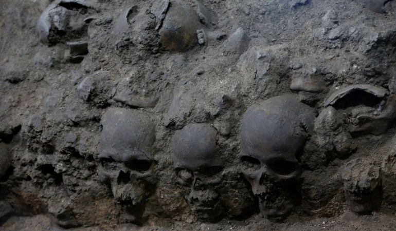 Varios de los cráneos hallados en la torre.