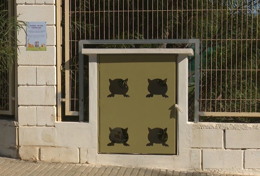 Gatera instalada en Gandia para el control de los felinos