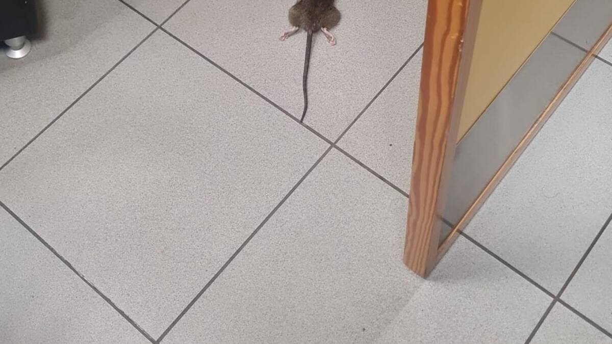 Israel Naveso, portavoz del sindicato de bomberos y CSIT, denuncia el positivo en legionela en el parque de Parla