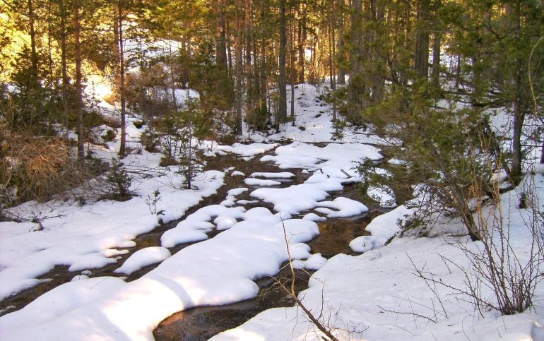 Nacimiento del río Júcar.