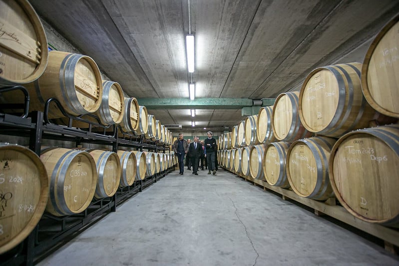 Visita Bodega Alto de Pioz