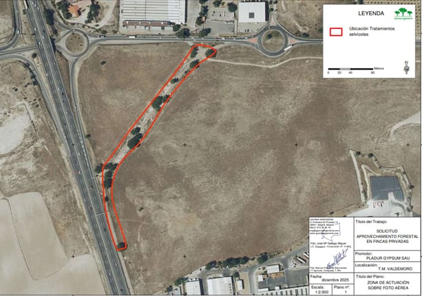 Zona afectada por la tala de árboles que denuncia Ecologistas en Acción en Valdemoro