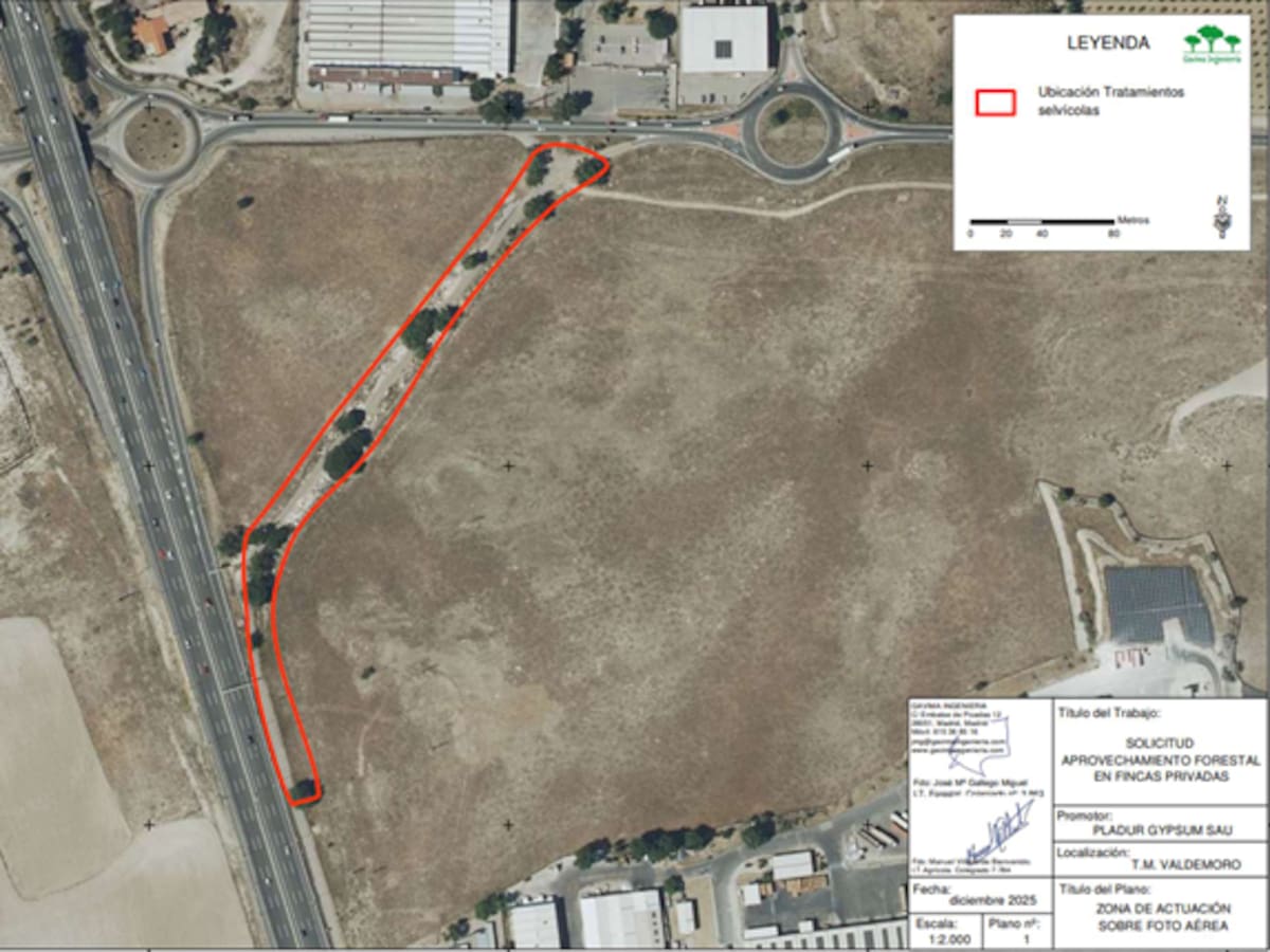 Los ecologistas denuncian la tala de más de 50 árboles junto a un área industrial de Valdemoro