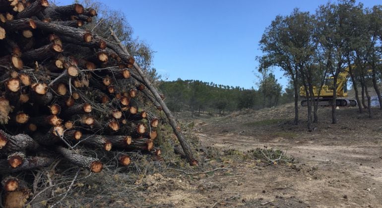 El aprovechamiento maderero de los montes está regulado en los planes de ordenación forestal de la Consejería de Agricultura, Medio Ambiente y Desarrollo Rural.