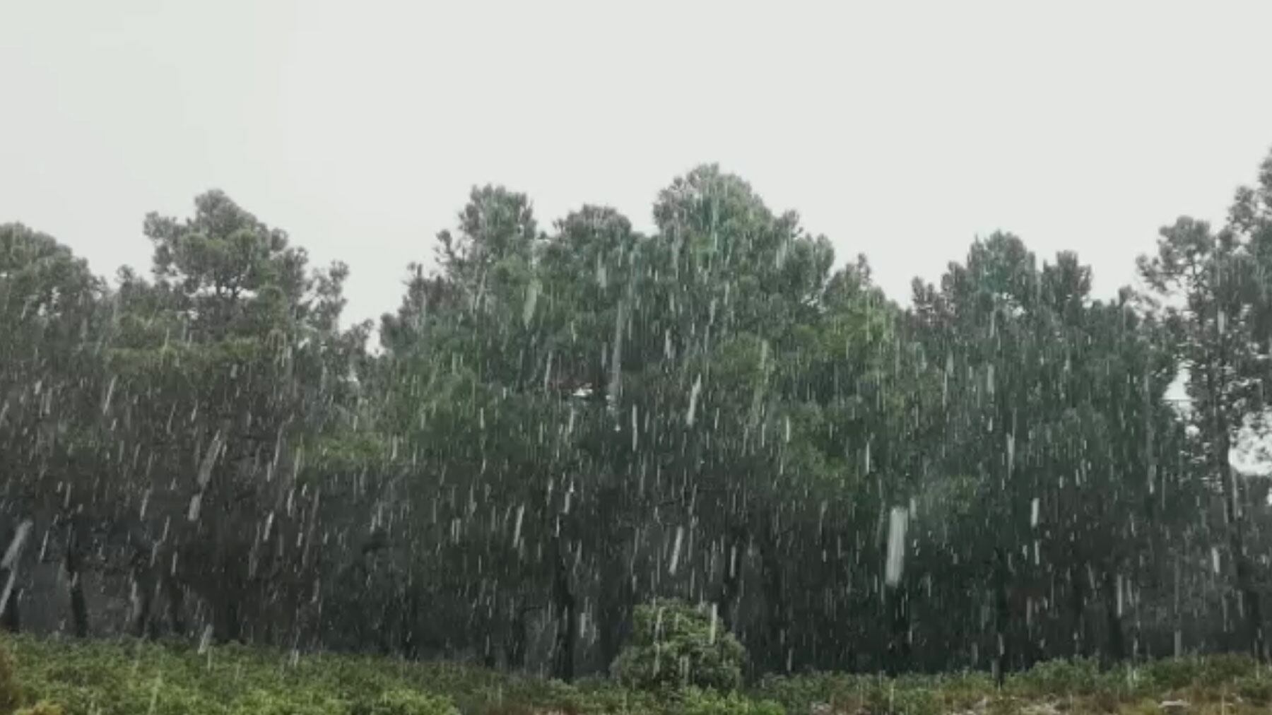 Los copos de nieve han caído este miércoles en Serrella entre El Comtat y Marina Baixa