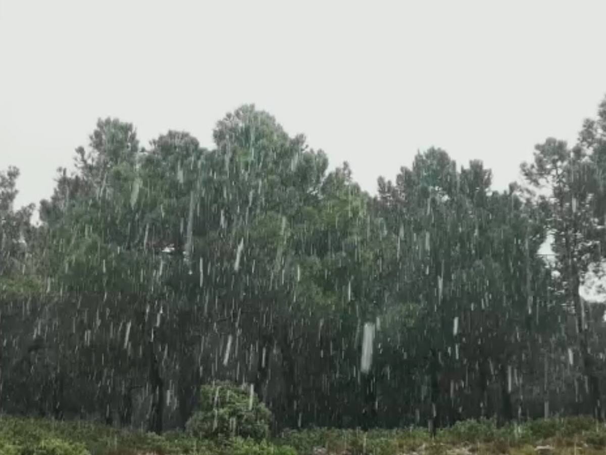 Vuelve a nevar en abril en Serrella