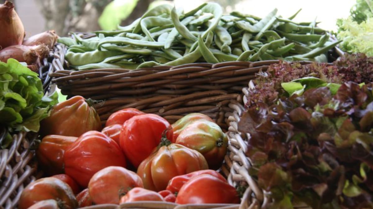 Gastronomia: Restaurants amb hort