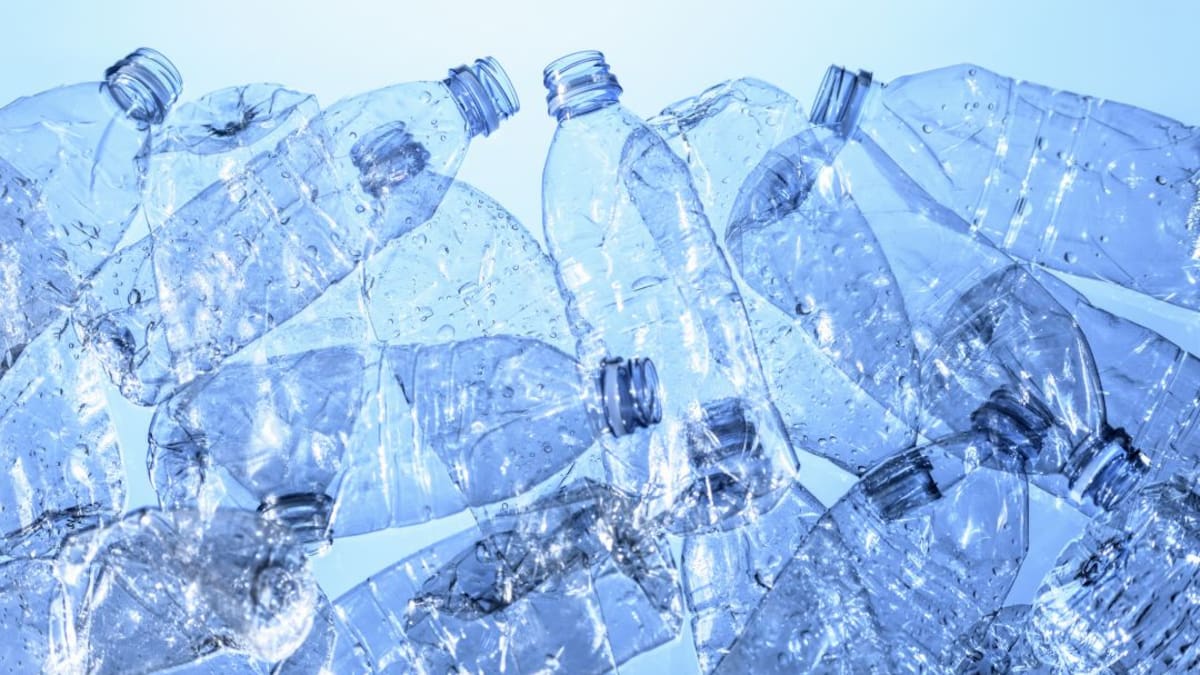 Guerra al plástico en el campus