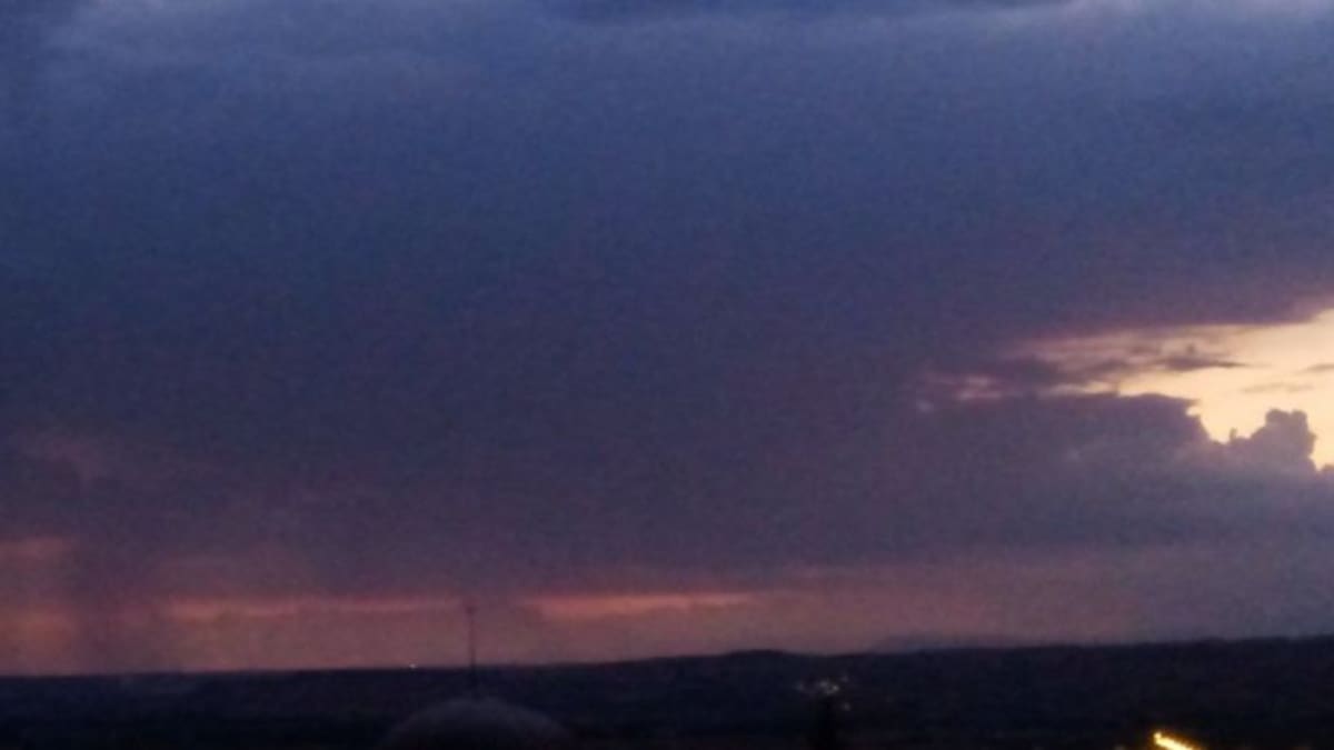 El campo respira con las últimas lluvias
