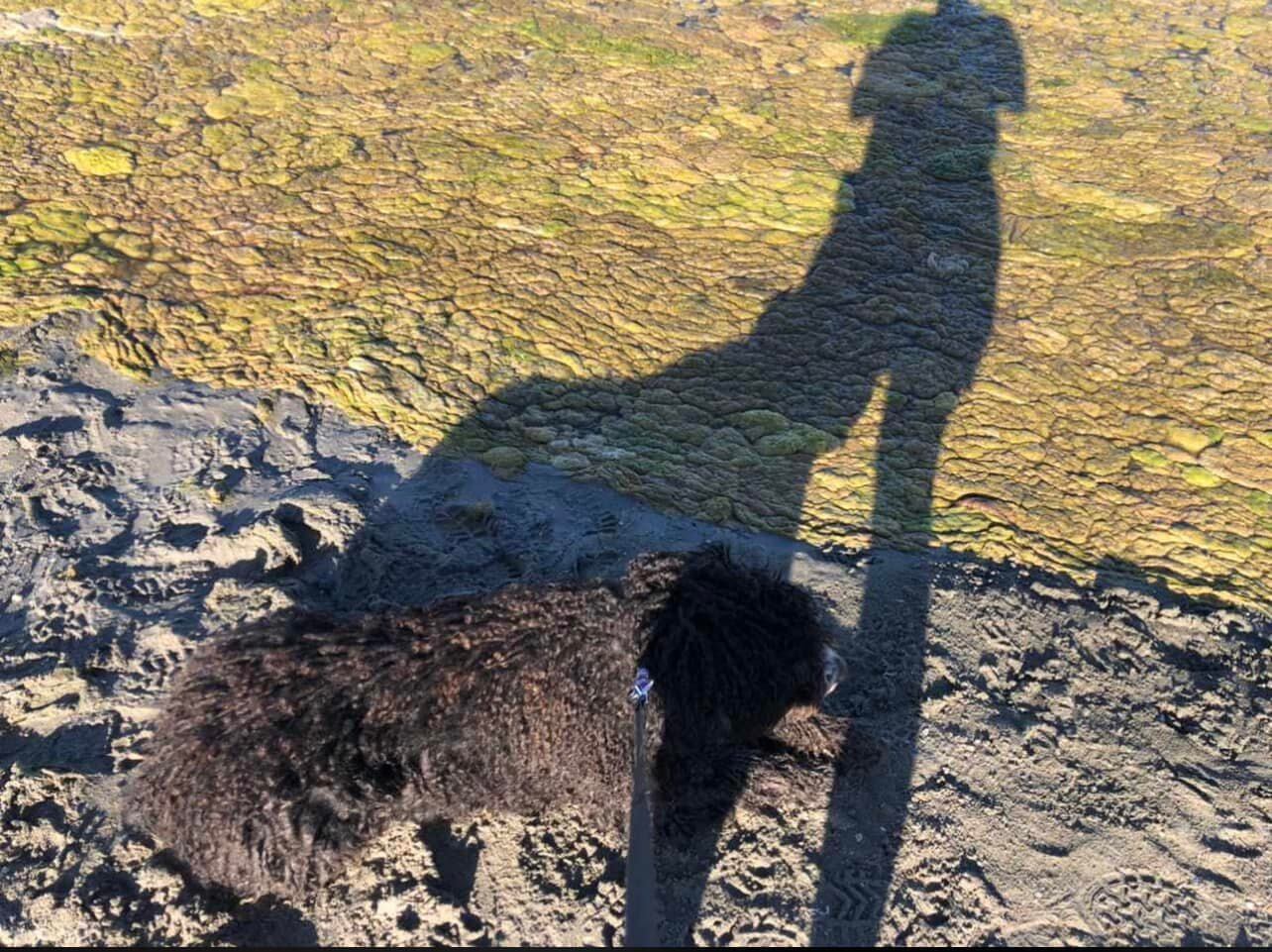Playa de Los Urrutias