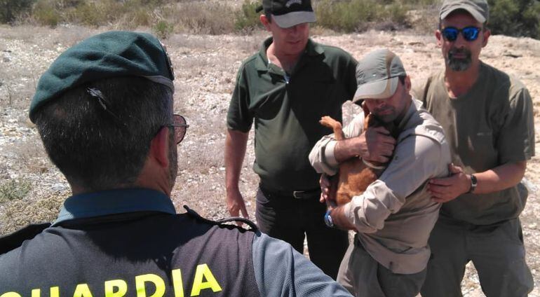 Su propietario se encontraba cazando cuando el animal se precipitó por la boca de un pozo de agua seco