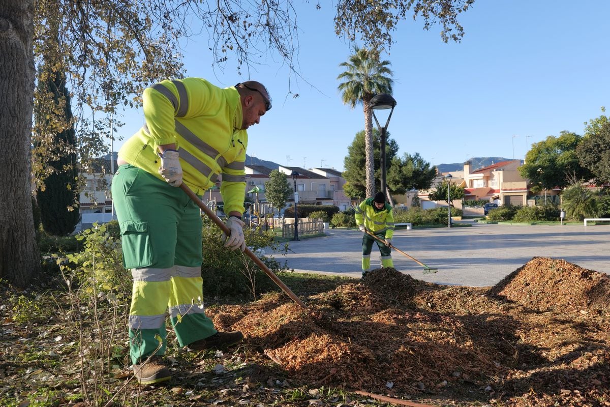 Cartagena ha convertido sus residuos de poda en el mejor aliado para sus zonas verdes