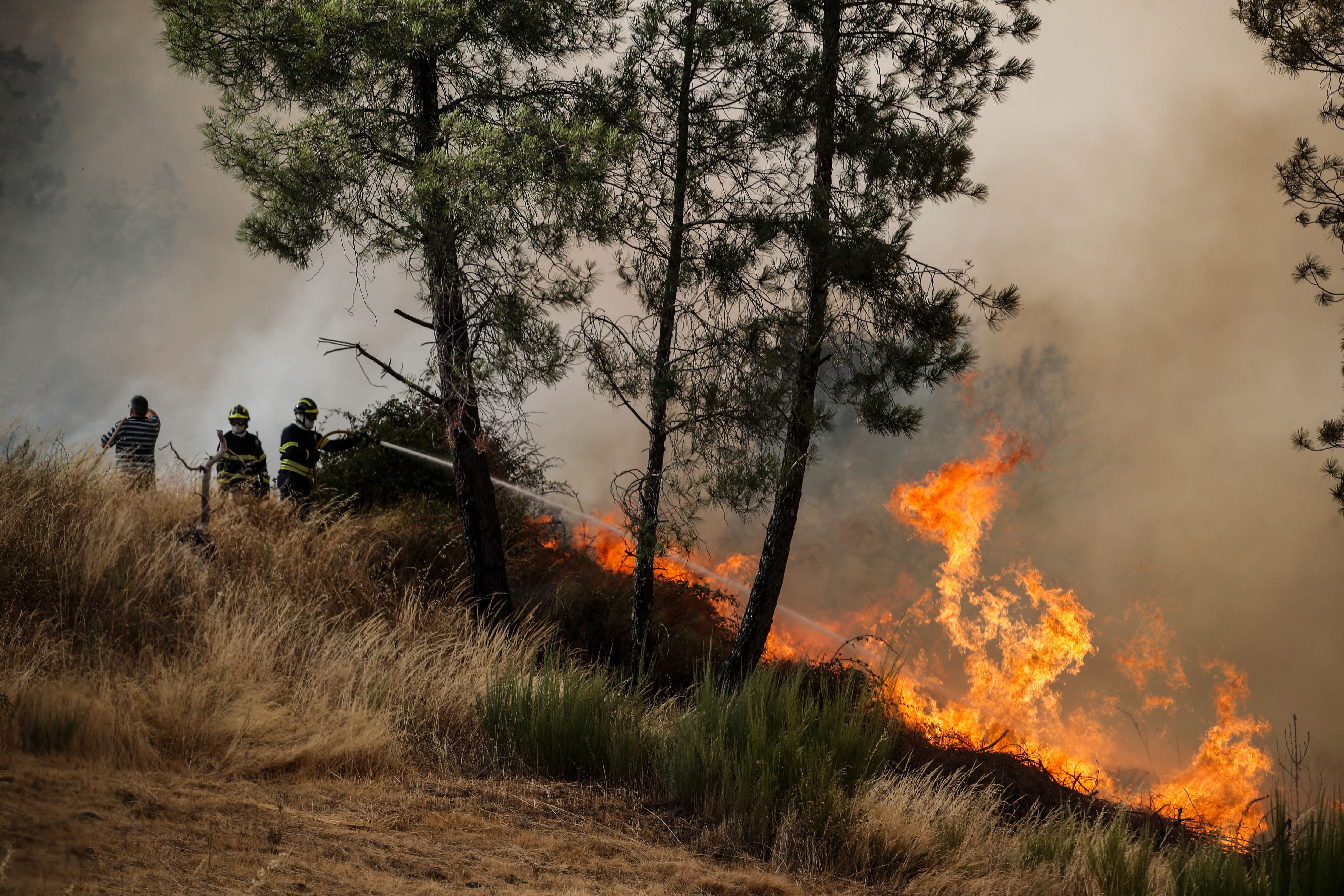 Los bomberos tratan de extinguir este domingo los incendios que en los últimos días se han declarado en Portugal.