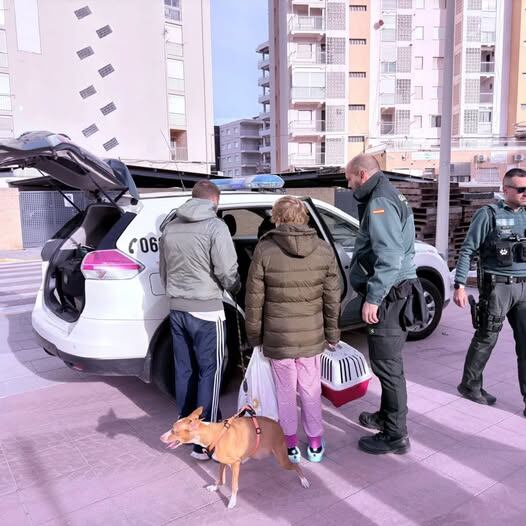 Vecinos de Bellreguard desalojados por el derrumbe de parte de la fachada.