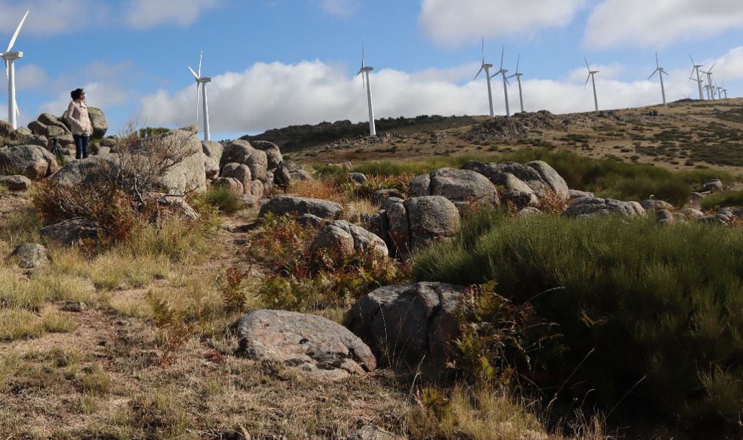 El parque se había proyectado sobre una superficie de 500 hectáreas