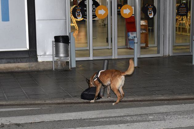 Actuación del perro de la Policía Nacional en el exterior del centro comercial