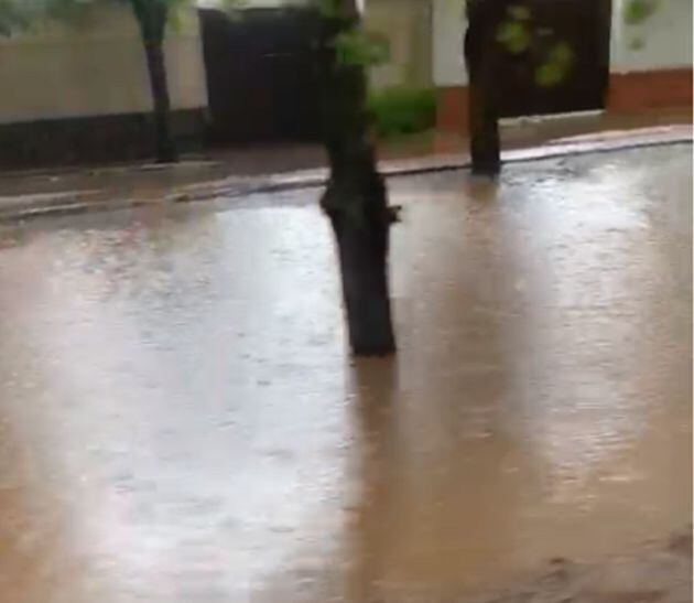 Jardines de la pedanía de Bazán en Viso del Marqués este sábado a las 13.00 h.