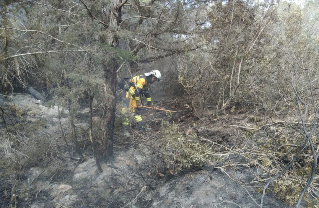 El incendio ha calcinado 0,14 hectáreas de pinar