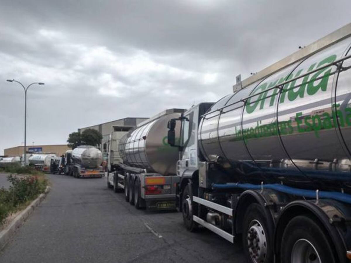 Los ganaderos de vacuno de leche temen que la industria deje de comprar