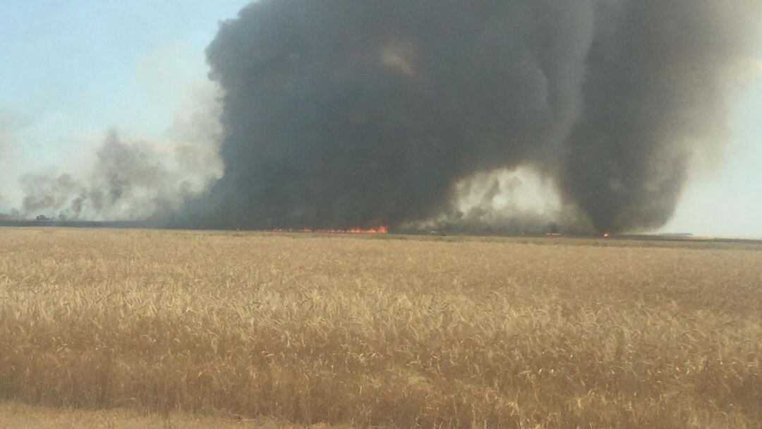 Incendio de cereal en Campaspero