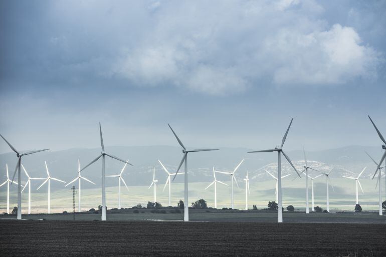 Parque eólico en Tarifa