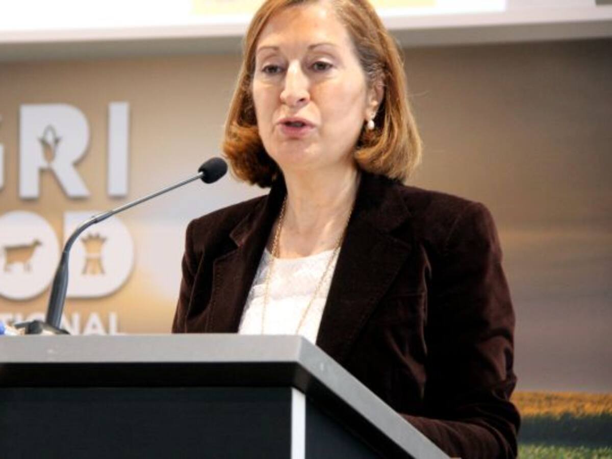 Pastor insisteix en els peatges de l’AP-7