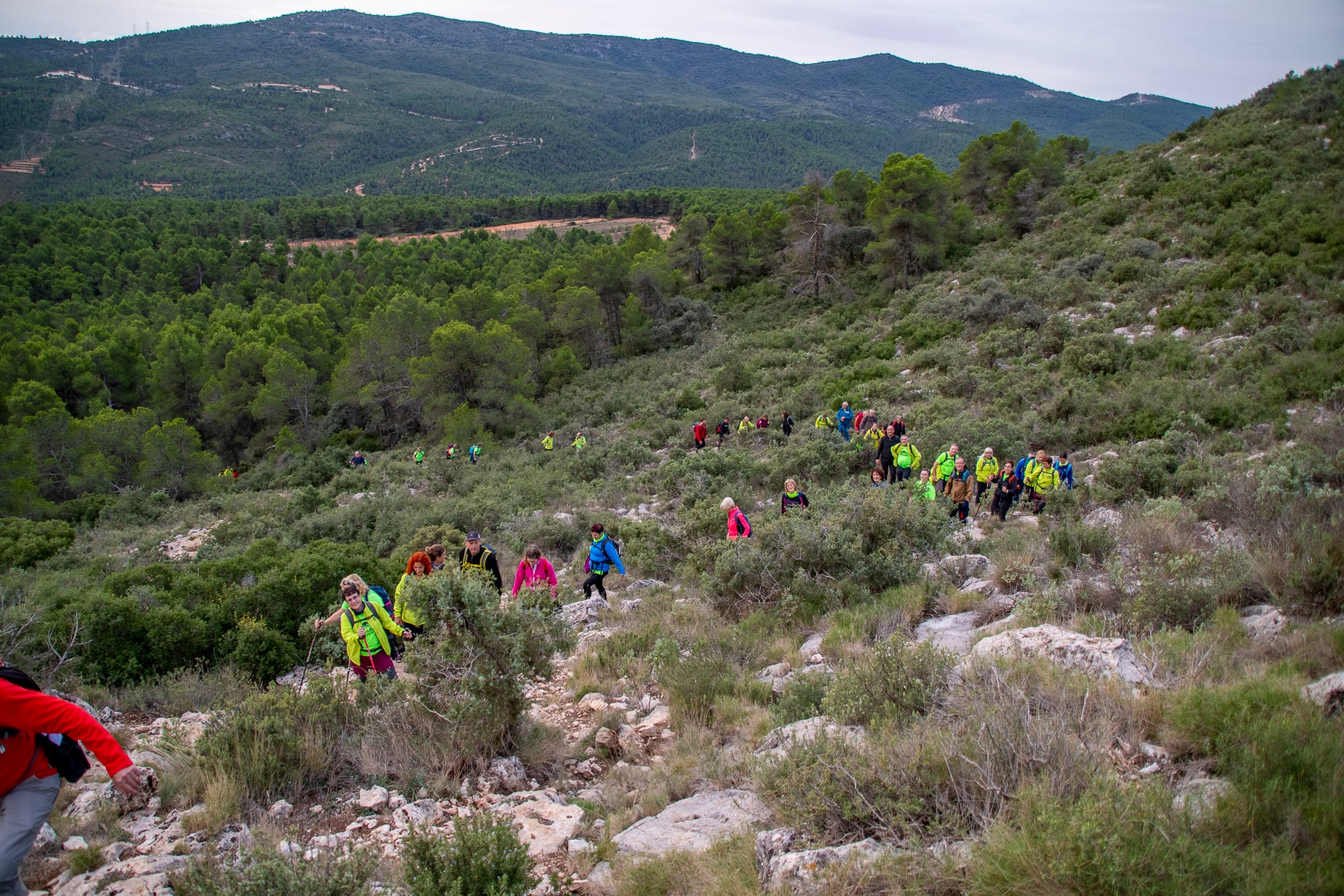 Aviana, en Banyeres de Mariola