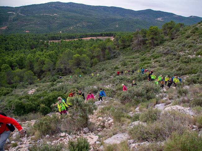 Aviana, en Banyeres de Mariola