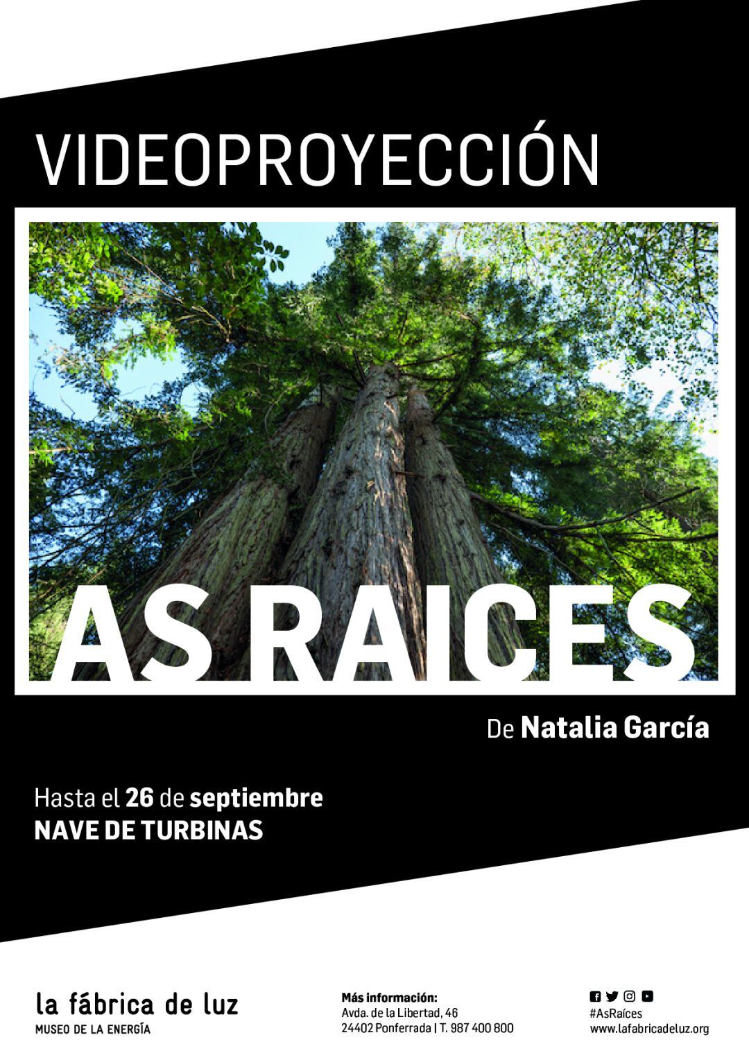 Cartel de la videoproyección &quot;As raíces&quot;.