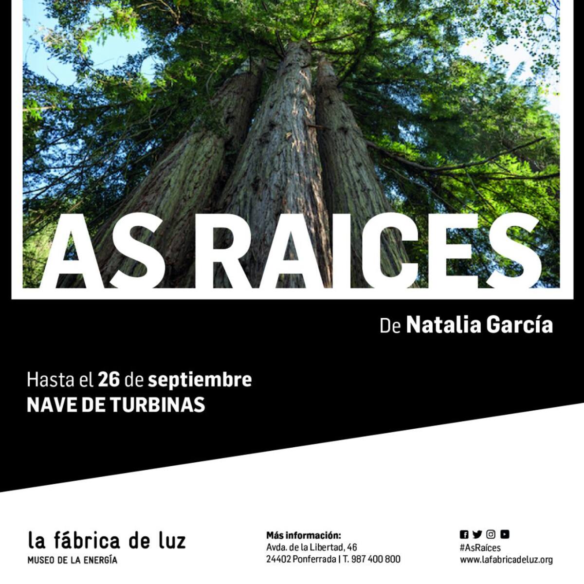 La Fábrica de Luz presenta la obra audiovisual "As raíces"