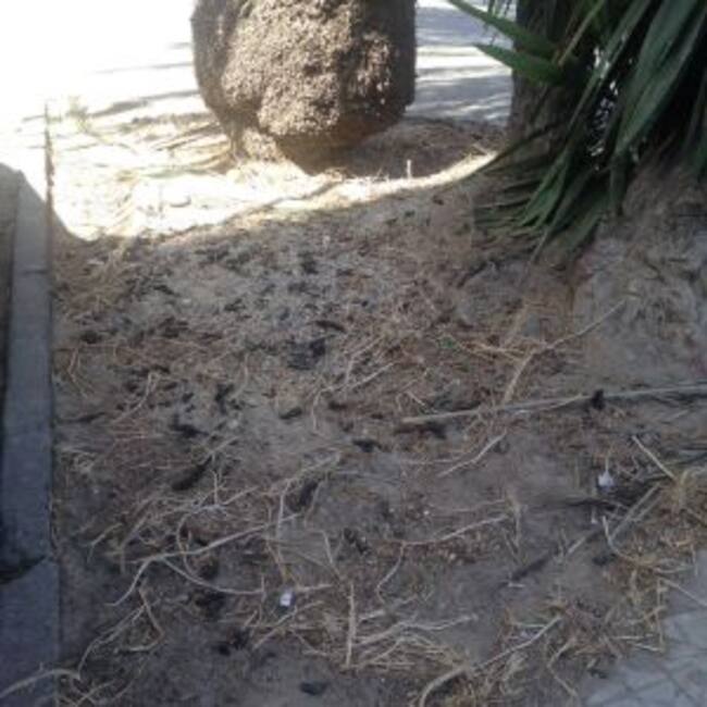 Barriada de Mariana Pineda.