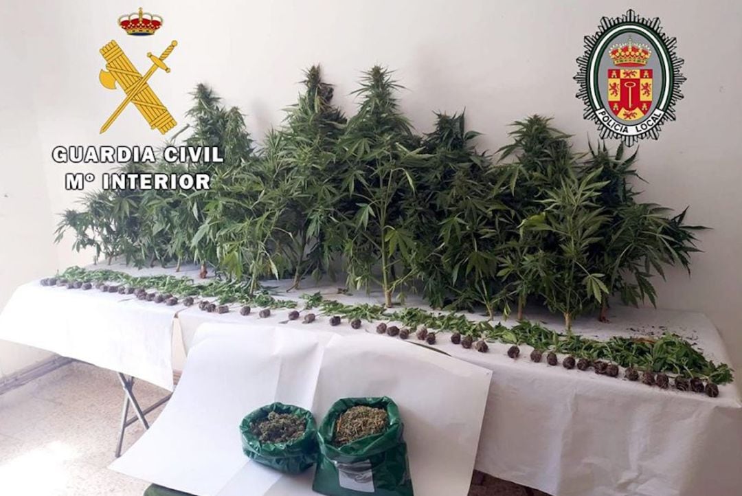 Marihuana incautada en Alcalá la Real.