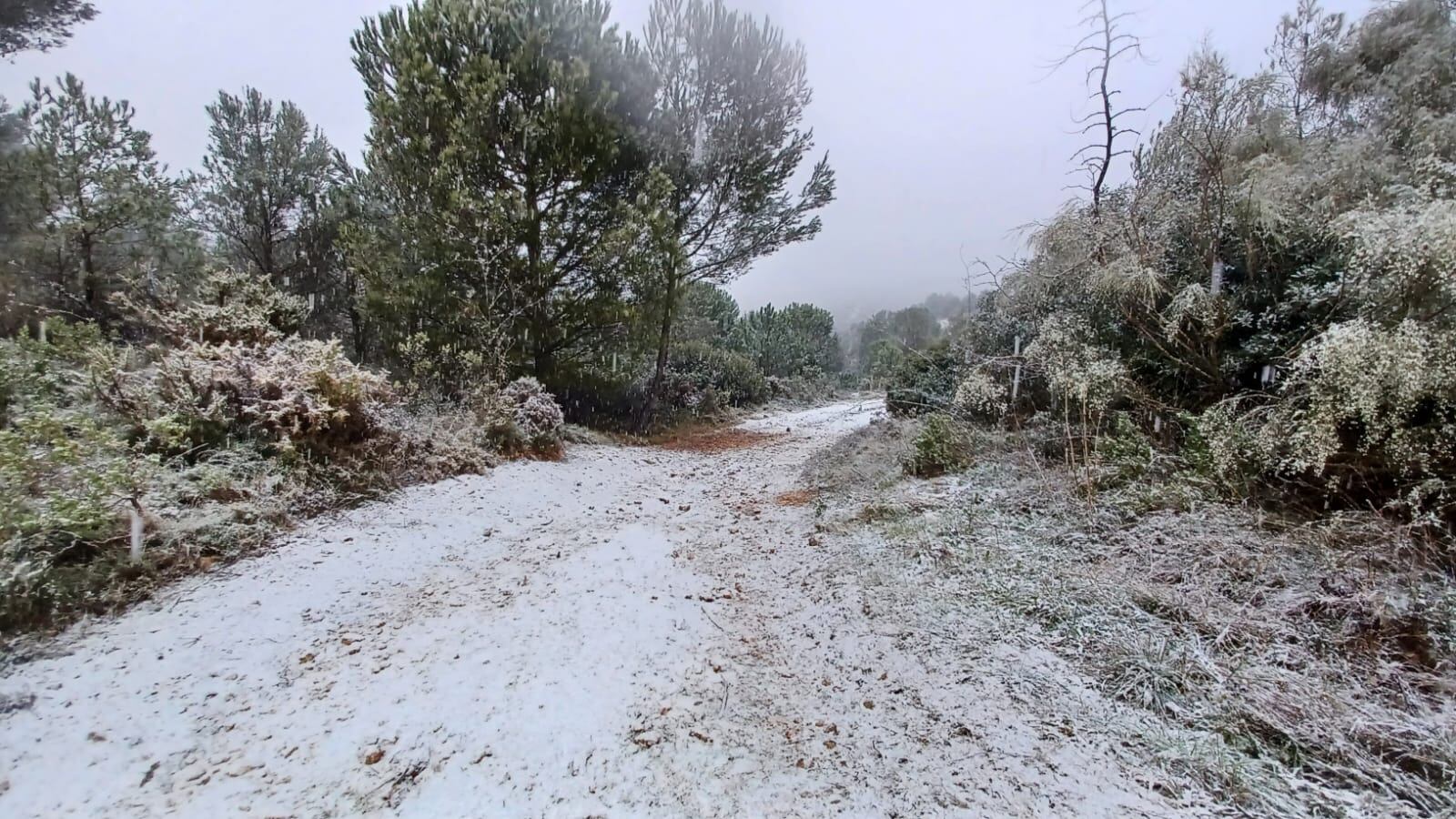 El Cim de la Safor durante la nevada de ayer domingo 29 de enero.